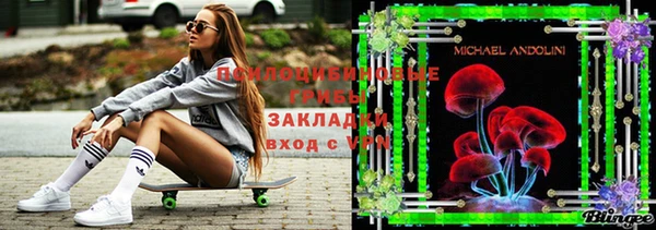 МДПВ Абаза