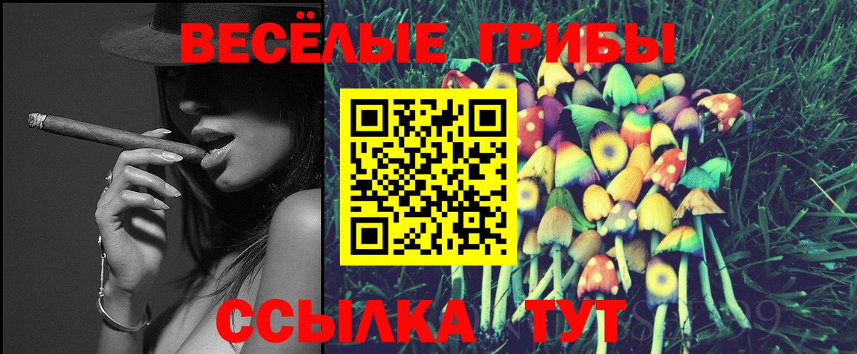 Псилоцибиновые грибы прущие грибы  Вход с VPN  Алексин 