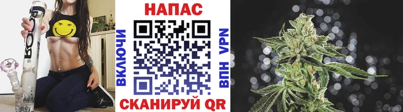 блэк спрут Алексин Бошки Шишки конопля